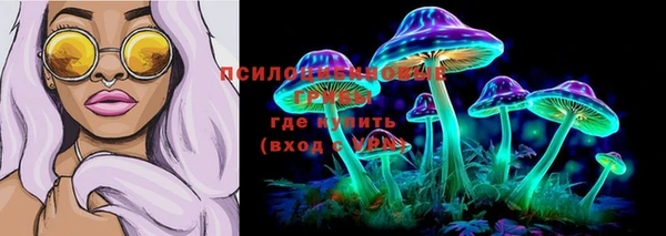 прущие крисы Белокуриха