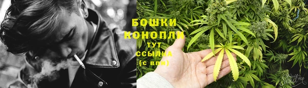 прущие крисы Белокуриха