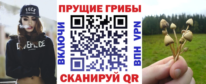 где продают наркотики  Краснознаменск  Галлюциногенные грибы ЛСД 